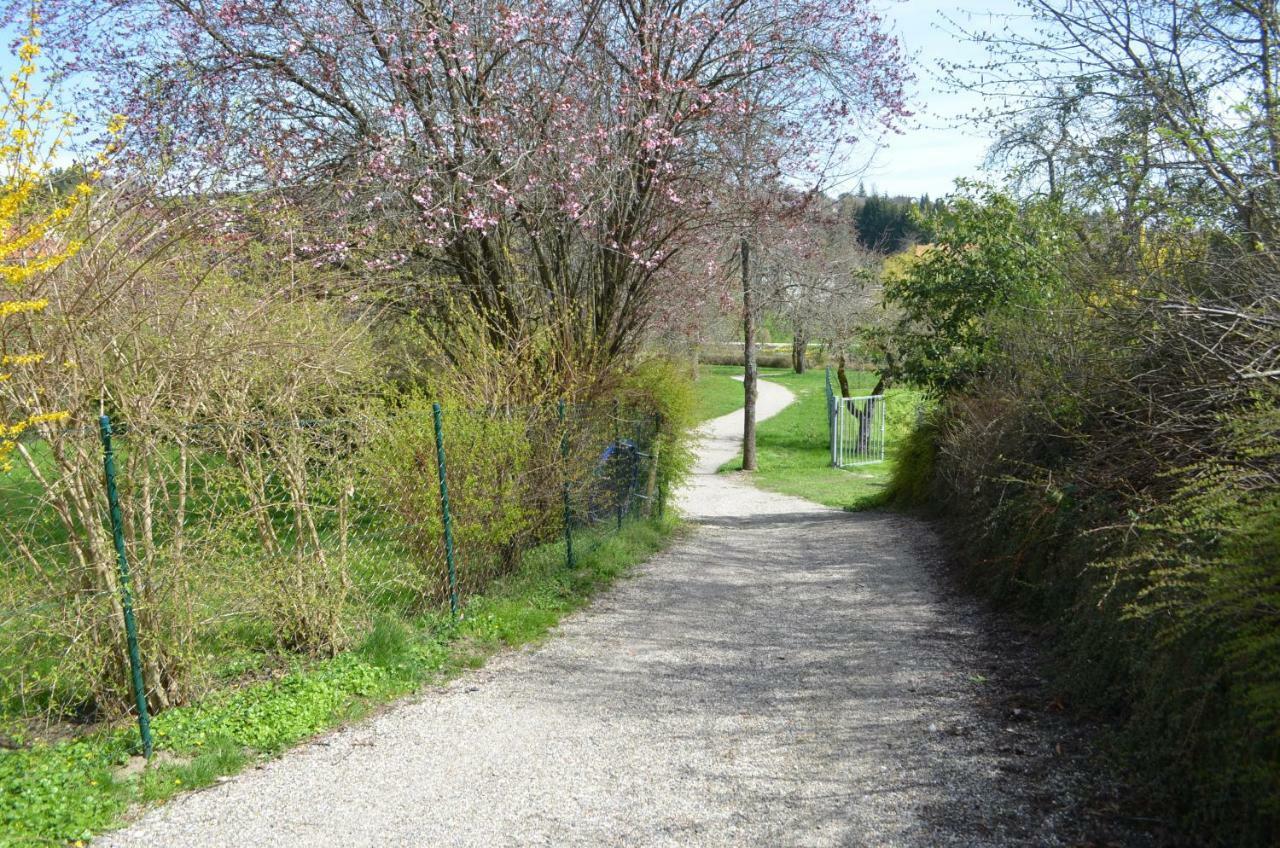 Apartment Veronika's Bonndorf im Schwarzwald