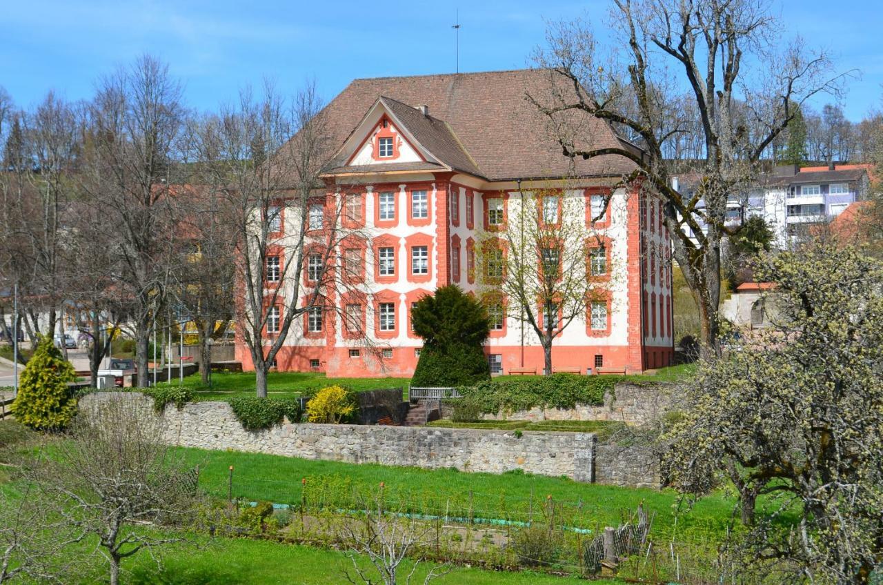 Veronika's Apartment Bonndorf im Schwarzwald